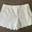 The Loft  White Scalloped Shorts Photo 0