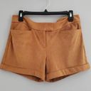 Krass&co Eva Mendes NY& Tan Faux Suede Cuffed Shorts 4 Photo 0