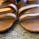 Wet Seal  Tan Gold Gladiator Style Sandal With Triple Buckle- Size 9 Photo 1