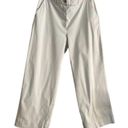 Elizabeth and James  Pale Mint Green Chino Cropped Pants Photo 0