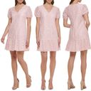 Kensie  Blush Pink Lace Puff-Sleeve Flutter-Hem Shift Mini Dress Photo 1