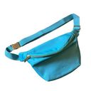 Pink Lily NWOT  Nylon Aqua with Gold Belt Bag‎ w/ Adjustable Strap Photo 0