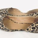 Jack Rogers  | flats cheetah print pointy toe 7.5 Photo 2