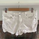 Abound  White CutOff Denim Shorts Distressed size 32 High Waist Photo 1