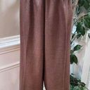 Pride Joy Women's Brown Polyester Single Breasted Blazer & Pant 2 Pc's Suit 18 Photo 3