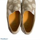 Gap  Polka Dotted Slip On Sneaker Photo 4