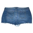 Torrid  High Rise Shortie Short Vintage Stretch Medium Wash Blue Plus Size 26 Photo 2