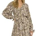 Free The Roses Cheetah Mini Dress Photo 2