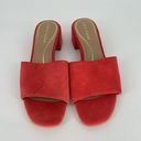 Cole Haan  Sandal Slides Pink Block Heel Suede Women’s 6.5B Damaged Photo 1