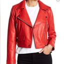 Walter Baker  Red Liz Leather Crop Moto Jacket Photo 0