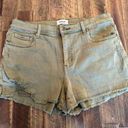 Pistola  cut off green denim jean shorts size 32 Photo 0