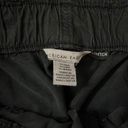 American Eagle Outfitters Cargo Pants Photo 1