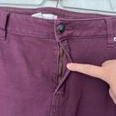 Lane Bryant  Size 16 Purple High Rise Ankle Skinny Jeans 38"x27" SHORT Photo 4