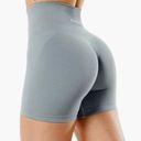 Alphalete Amplify Shorts Photo 1