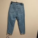 Abercrombie & Fitch  Curve Love Ultra High Rise Ankle Straight Jeans Size 10 (30) Photo 1