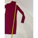 Talula Aritzia  Womens Burgundy Turtle Neck Mini Dress Long Sleeve Bodycon Size S Photo 3