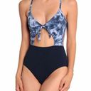 Alexis Tarte  Cutout Paneled Tie-Dyed One Piece Swimsuit Photo 0