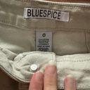 Blue Spice Khaki Shorts Photo 3