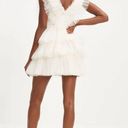 VICI Cream Tulle Dress Photo 1