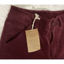 Duluth Trading  Co Womens Corduroy High Rise Skinny Ankle Pants SZ 2 Burgundy NWT Photo 1