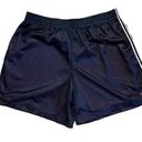 Champion  Blue Mesh Shorts w/ Pink Lining & Drawstring Waist, White Side Stripes Photo 0