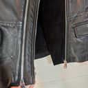 Bernardo Suede Leather Jacket Photo 4