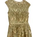 Theia Gold Metallic Guipure Floral Embroidered Party Dress Gown Size 8 Photo 2