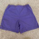 Brooks Bobbie  Vintage Purple High Waisted Shorts Photo 2