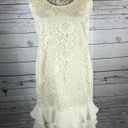 Leslie Fay  sleeveless 
Beautiful lace dress with layered ruffles on the end. Photo 0