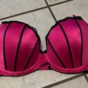 Apt. 9  intimates 36D Pink Black Bra Barbie Photo 0