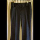 Maurice's  Charcoal Gray Career Pant Trouser Pant 5/6 JR Workcore Light Acadamia Photo 1