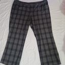 Lane Bryant  plaid pants Photo 0