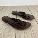 Krass&co Vintage Foundry . Zaria Strappy Leather Thong Sandals 9 Brown $150 Photo 1