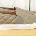 Steve Madden  Endell Quilted Faux Leather Slip On Sneaker Taupe 8 Photo 1