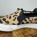 Keds Canvas Animal Print Slip on Sneaker Size 9 Photo 2