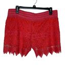 Day & Night  Women's Shorts Floral Lace Pull On 100% Cotton Mid-Rise Medium NWT Photo 7