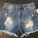 Articles of Society Jean Shorts Photo 0