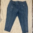 Lane Bryant  Distressed Size 24 Jeans Photo 4