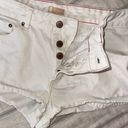 Roxy White Jean Shorts Photo 1