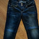 American Eagle Artist Cropped Jeans Size 2 Photo 0