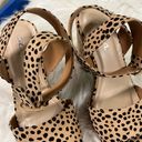 Soda  Leopard Animal Print Chunky Platform Sandal Heels Ankle Strap Size 6.5 Photo 1