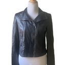 Kimberly  Ovitz Black Cropped Moto Leather Jacket Size 8 Photo 0