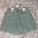 ZARA Nwt  dad shorts Photo 2