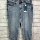 Jag jeans JAG Ruby Mid Rise Straight Cropped Jeans Size 20W Photo 0