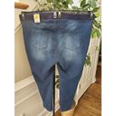 Terra & Sky  Womens Blue Denim Cotton Mid Rise Comfort Waist Skinny Jeans Pant 4X Photo 4