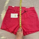 Cosmic Blue Love Stitch Fix Pink Frayed Hem High Rise Cut Off Shorts Size 26 Photo 3