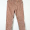 Everlane  Peach High Rise Baby Cord Cheeky Crop Straight Leg Cropped Jeans Sz 29 Photo 2