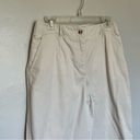 Talbots  Chatham Fly Front Ankle Pants - Solid - Curvy Fit Beige XL Size 12 Photo 1