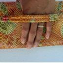 HOBO INTERNATIONAL EDEN Embossed Leather Tropical Flap Clutch Purse Snake Print Photo 2