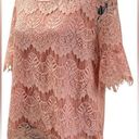 Absolutely Famous  💓LADIES XL💓PINK LACE TOP TUNIC SHORT SLEEVED SEMI SHEER Photo 1